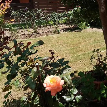 Mary's House Apartamento Paliouri