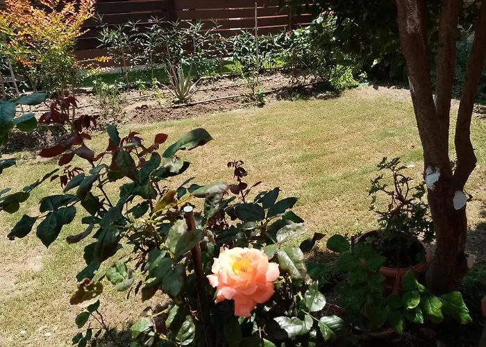 Mary's House Apartamento Paliouri